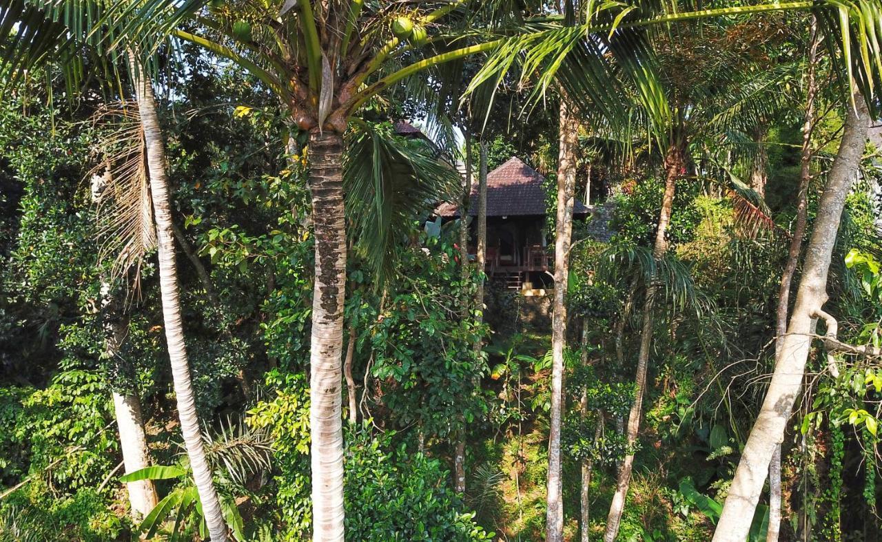 Secluded Jungle Villa Ubud  Exterior photo